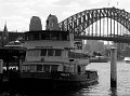 IMG_7825-2