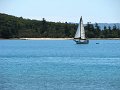 IMG_7196-2
