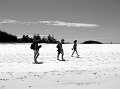 IMG_7348-3