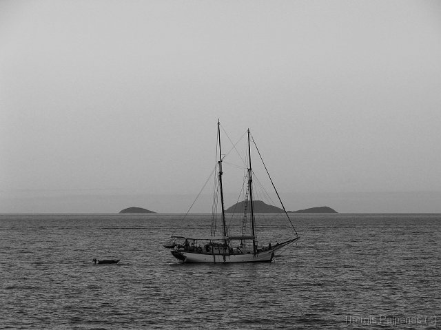 IMG_7267-2.jpg