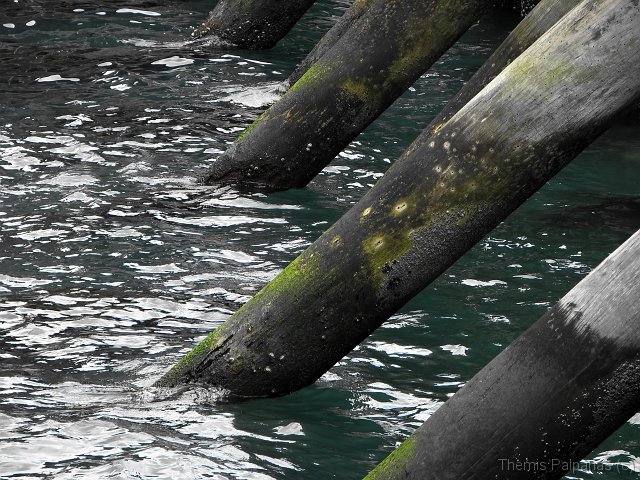 IMG_7823-2.jpg