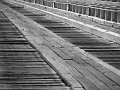 IMG_7204-2