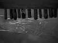 IMG_7253-2