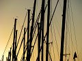 IMG_7262-2