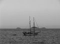 IMG_7267-2
