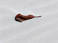 IMG_7366-2