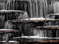 IMG_7701-2