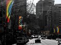 IMG_8052-2