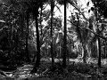 IMG_6881-2