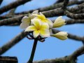 IMG_6964-2
