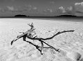 IMG_6771-2