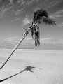 IMG_6848-3