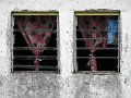 IMG_6955-2