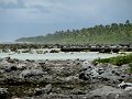 IMG_6888-2