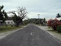 IMG_6602-2