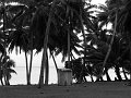 IMG_6962-2