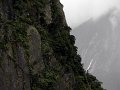 IMG_6176-2