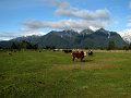 IMG_5879-2
