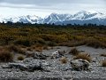 IMG_5898-2