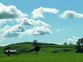 IMG_6356-2