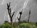 IMG_6110-2