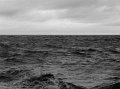 IMG_6207-2