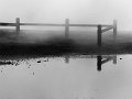 IMG_6422-2