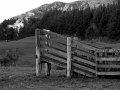 IMG_6543-2
