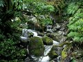 IMG_6043-2