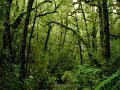 IMG_6055-2