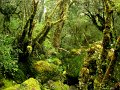 IMG_6084-2