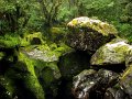 IMG_6090-2