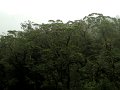 IMG_6095-2