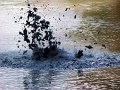IMG_6373-2