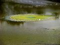 IMG_6403-2